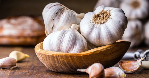 هل الحلبة تدر البول هل الحلبة تدر البول