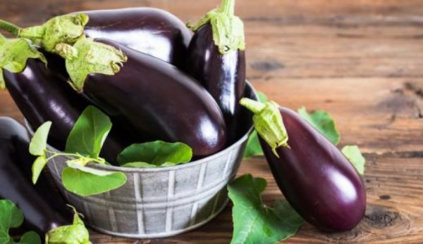 فوائد الباذنجان للكلى فوائد الباذنجان للكلى