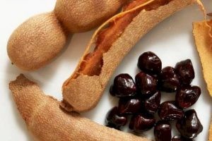 أنواع الحمضيات واسمائها أنواع الحمضيات واسمائها