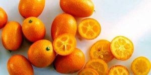 أنواع الحمضيات واسمائها أنواع الحمضيات واسمائها