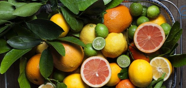 عائلة الحمضيات