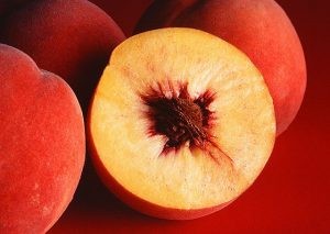 أصناف الخوخ بالصور أصناف الخوخ بالصور