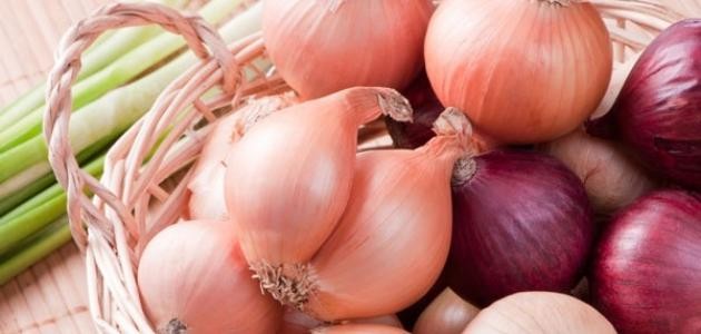 فوائد البصل للكلى
