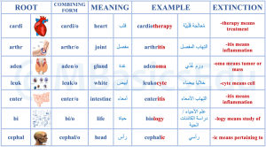 مصطلحات طبية بالانجليزي مصطلحات طبية بالانجليزي