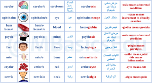 مصطلحات طبية بالانجليزي مصطلحات طبية بالانجليزي