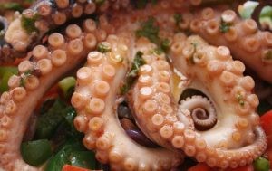 اكلات بحرية اخطبوط اكلات بحرية اخطبوط