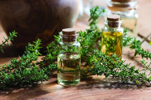 الزعتر وضغط الدم