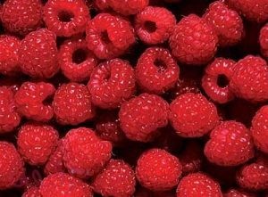 أنواع التوت أنواع التوت