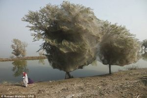 ظواهر طبيعية جميلة ظواهر طبيعية جميلة