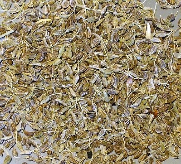 فوائد اليانسون لصحة الانسان