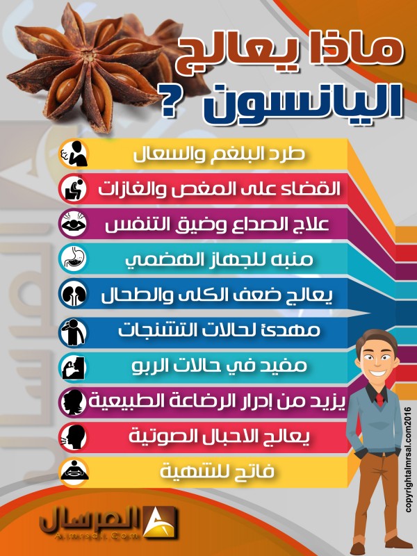 فوائد اليانسون لصحة الانسان