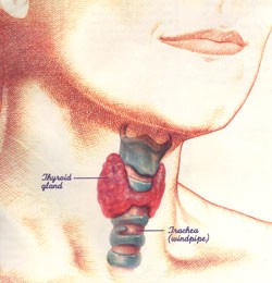 امراض الغدة الدرقية
