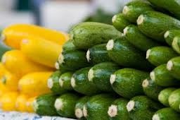 فوائد الكوسا فوائد الكوسا