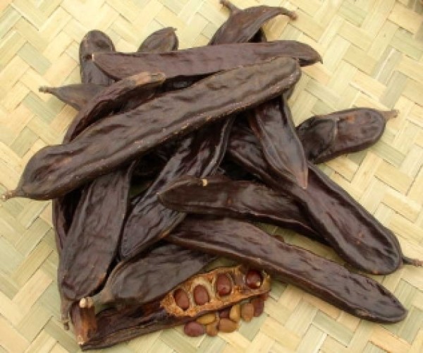 فوائد الخروب فوائد الخروب