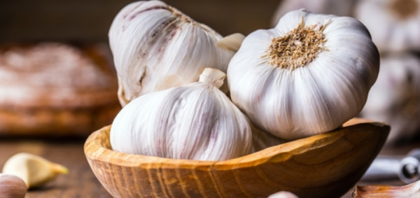 فوائد تناول الثوم يومياً .. والكمية المسموحة