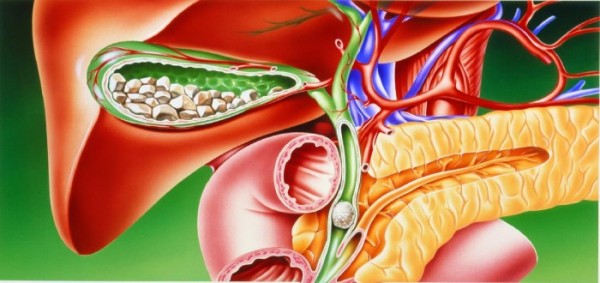 كيف يتم هضم الدهون بعد استئصال المرارة