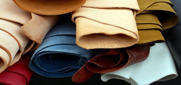 مصادر الجلود المختلفة وأنواعها