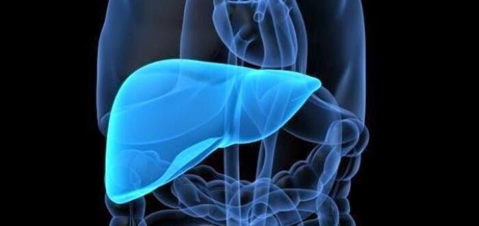 أسهل طريقة لإزالة دهون الكبد .. ” رياضة – حمية “