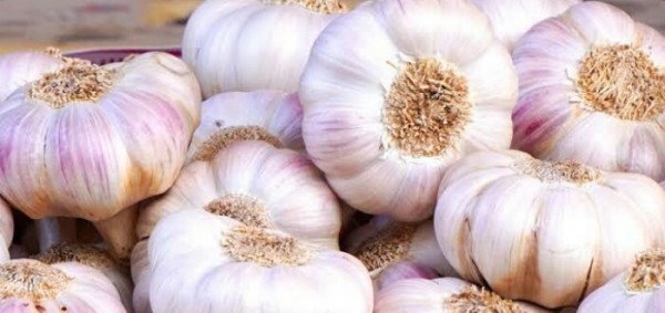 اسهل طريقة لتقشير الثوم .. بكمية كبيرة وبسرعه