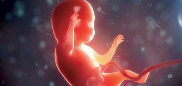 لماذا يتحرك الجنين عندما تأكل الأم