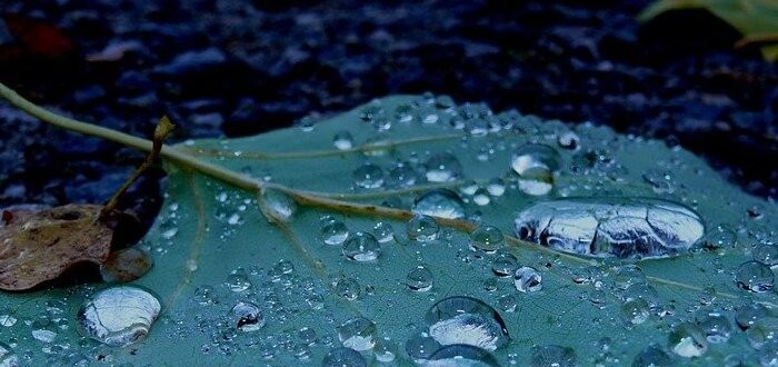 هل تسقط قطرات الماء من الغيوم بفعل الجاذبية