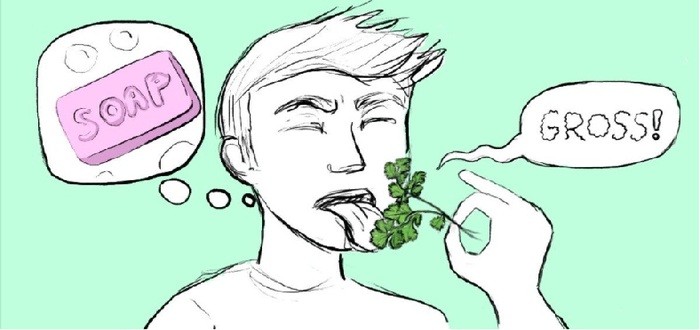 ما السر في طعم الكزبرة مثل الصابون