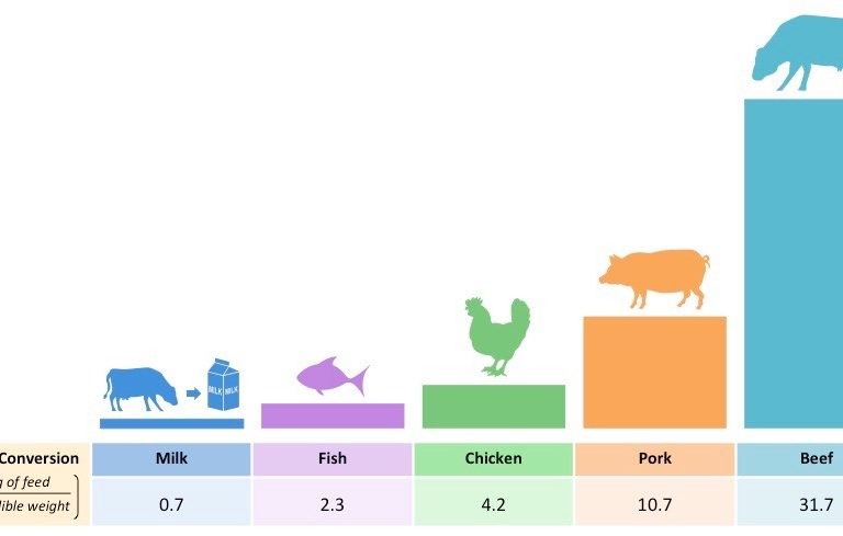 تعريف معامل التحويل وانواعها