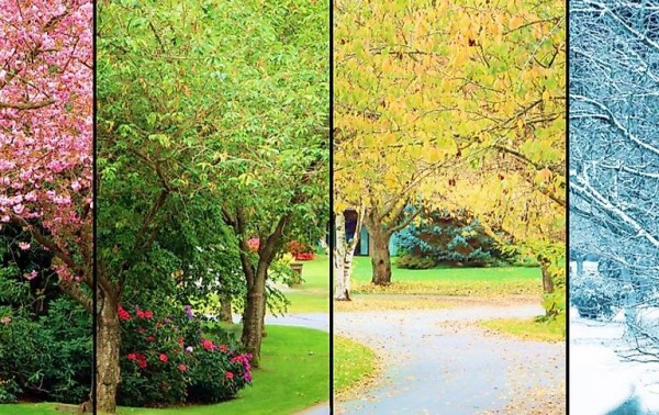 اهمية تعاقب الفصول الأربعة