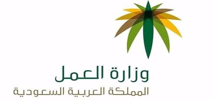 الفرق بين بند الأجور والعقود