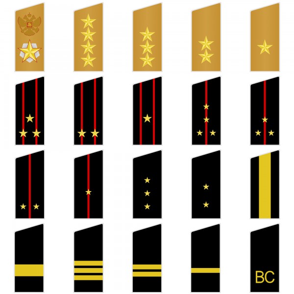 نبذة عن تاريخ الجيش الروسي