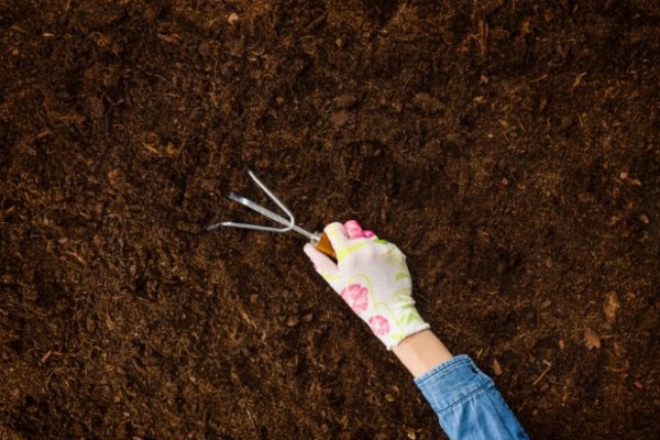 تهوية التربة وزيادة خصوبتها