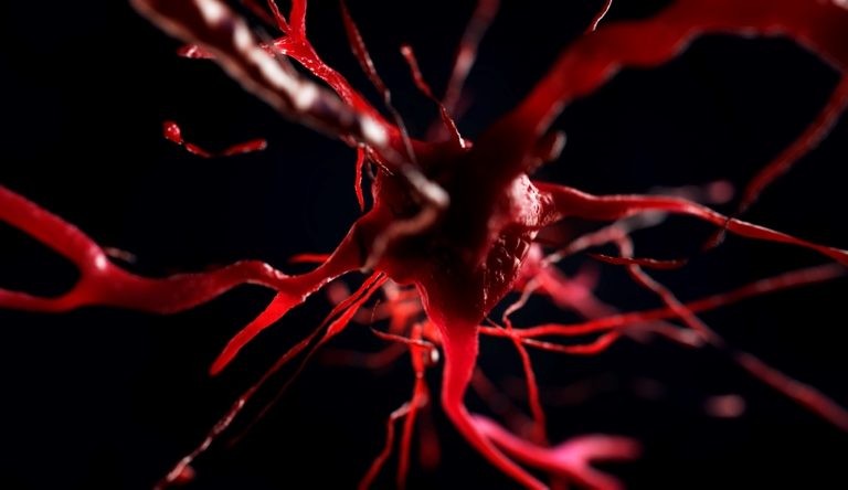 الافعال التي تضر بصحة الجهاز العصبي