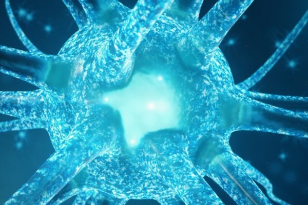 كيف نحافظ على الجهاز العصبي