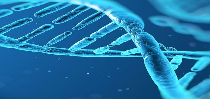 ما هو الجينوم البشري وأهميته