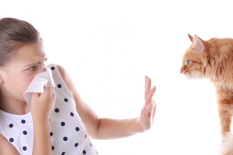 علامات تؤكد حساسية القطط