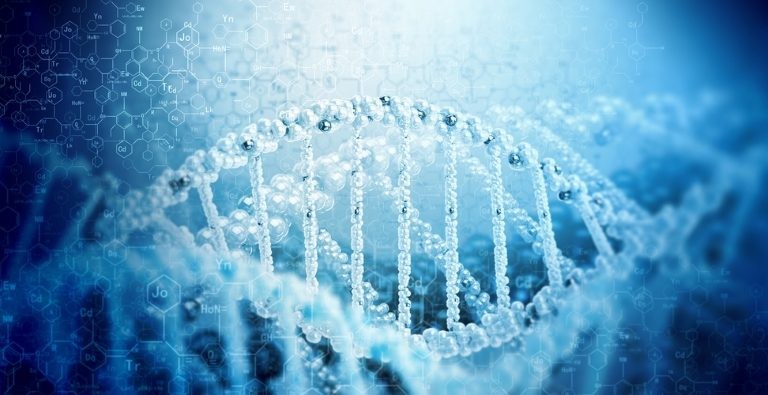 ما هي وظيفة DNA