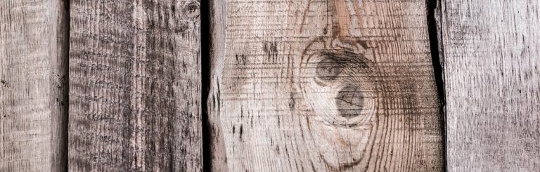 الفرق بين خشب الزان والسنديان