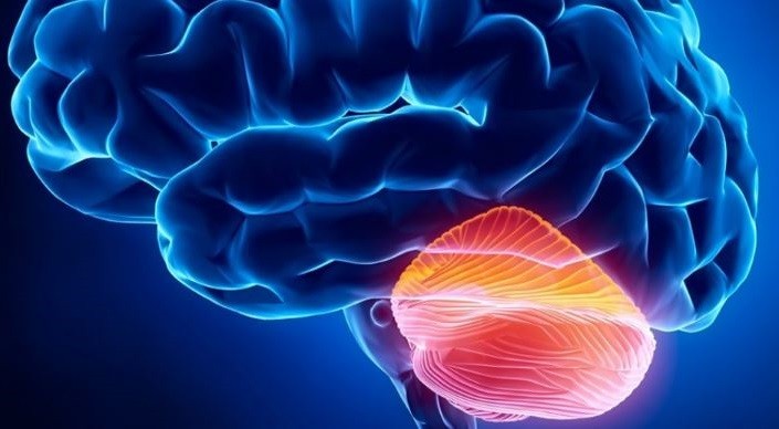 ما هي اضطرابات المخيخ