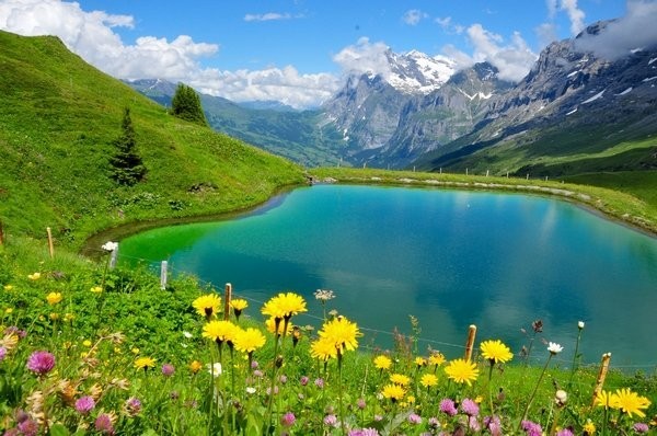 ما تشتهر به سويسرا