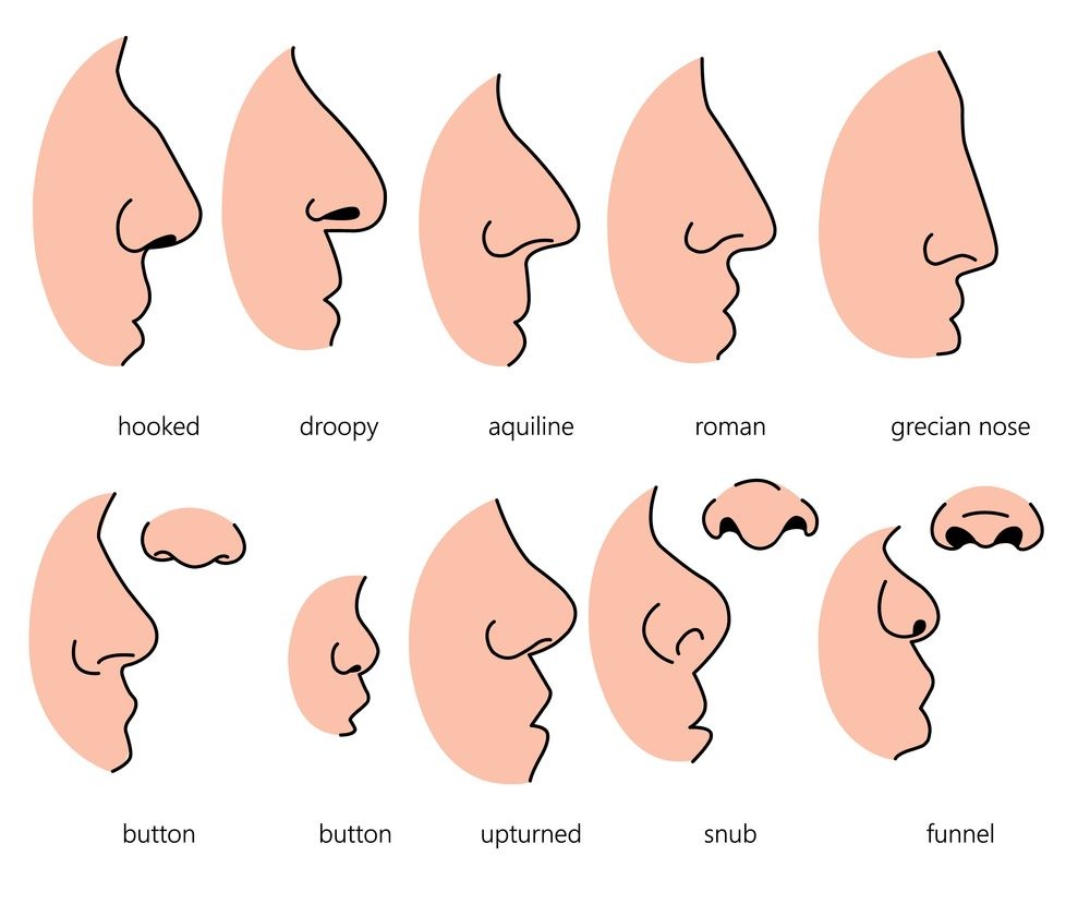 فراسة ملامح الوجه بالتفصيل
