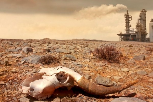 حيوانات انقرضت بسبب الاحتباس الحراري