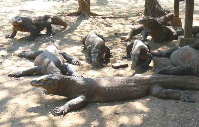 ما تشتهر به إندونيسيا