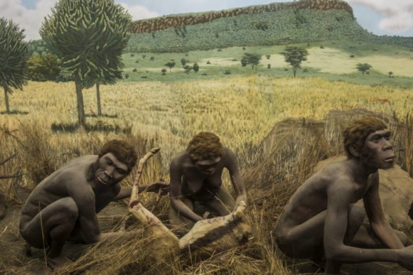 ماهي حقيقة انسان هومو سابينس