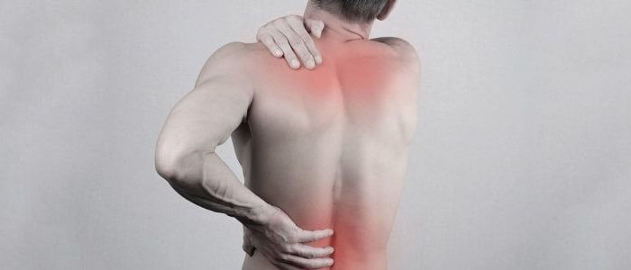 انواع لصقة الظهر