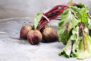 شكل نبتة الشمندر