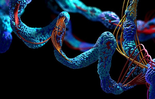 ما هي البروتينات وانواعها