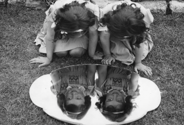 صور أنواع التوائم