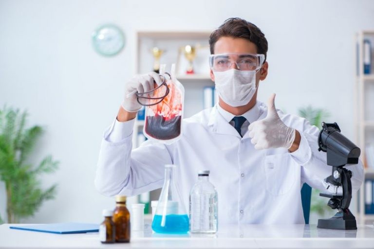 وظائف الدم الرئيسية