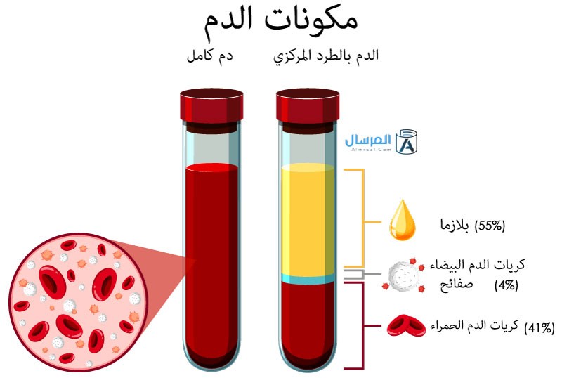 أنواع الأجسام المضادة أنواع الأجسام المضادة