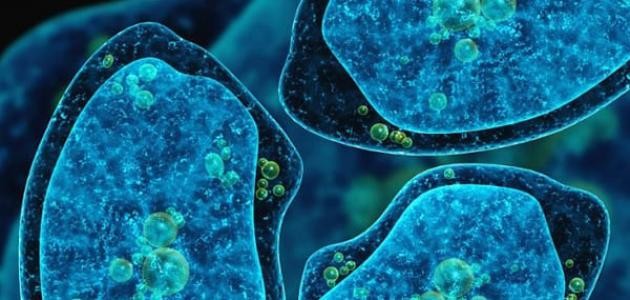 كيف اعرف اني شفيت من الأميبا